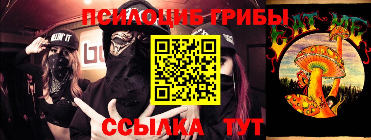 Галлюциногенные грибы MAGIC MUSHROOMS  Вход с VPN  Новотроицк 